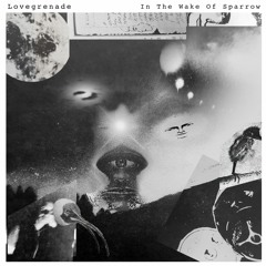 08 Dreaming Is Hard Work