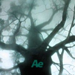 NZAN