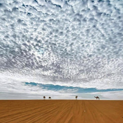 الفنان عادل محسن مع شارع المرقب ⁩.