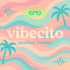 Vibecito | Live DJ Set