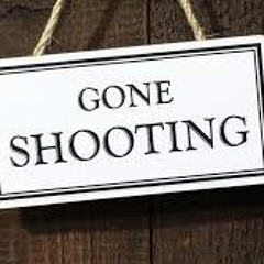 HUNTING DOWN CORONAVIRUS   (Alfonso Llorente)