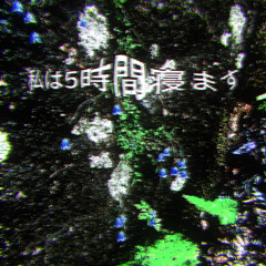 私は5時間寝ます (Pitched Down and Slowed Down)