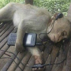 SHOULD'VE BEEN THE OUTRO