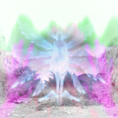 angel wings ft eurei & not_leo (february)