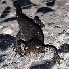 Kontra K Karma2.0 mix