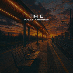 Tim B - Once the Door is Locked (Original Mix)