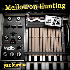 Mellotron Hunting