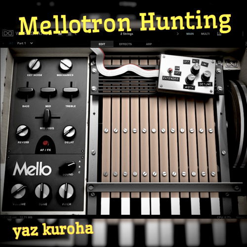 Mellotron Hunting