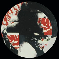 Slave To Society - Divine Ritual [Pure Hate Trax]