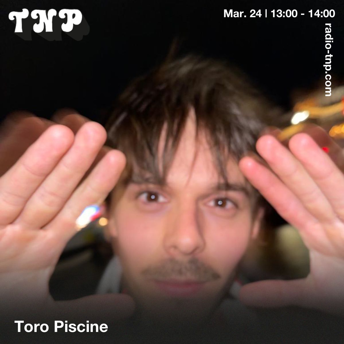 Toro Piscine