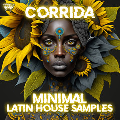 Infinity Audio - Corrida - Minimal Latin House Samples