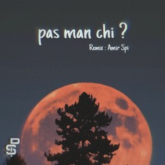 Wantons - Pas Man Chi ? [ SPI Remix ]