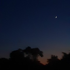 Clem Turner | The Great Band Fleet 2020 (complete)