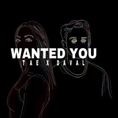 Wanted You (feat. Taelor Romo)