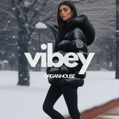 Vibey Organ House Mix 2024