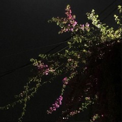 Lonely