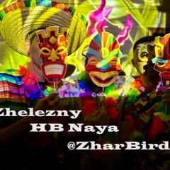 HB Naya @ZharBird