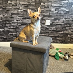 MIX 34 HEADBOBBER (house/tech)