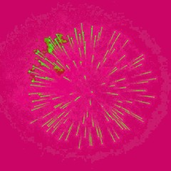 Acidmouse - Fireworks (Robin Meure Remix)