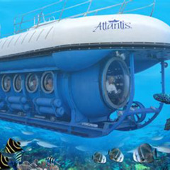 Review Special Price Aruba Atlantis Submarine Tour