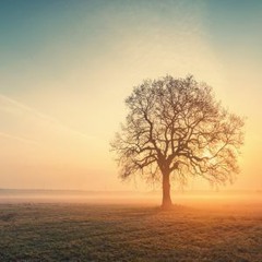 Gospel House - Easter 2024