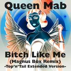 Bitch Like Me (Magnus Box Remix)Top'n'Tail Extended Version - Queen Mab