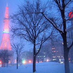 Powder Snow