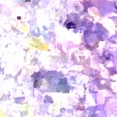 crimes w/ jon zott & gould (IG edit)