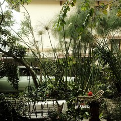 từng quen