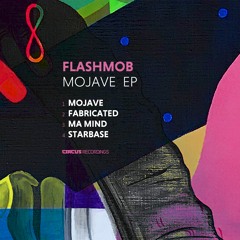 Flashmob - Mojave