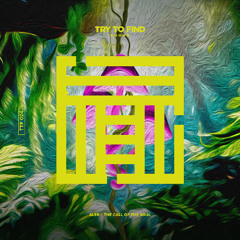 Premiere: Aler - The Call of the Soul [Try To Find Sound]
