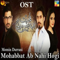 Mohabbat Ab Nahi Hogi OST - Momin Durrani