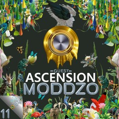 MODDZO - ASCENSION  EPISODE 11 - ENCYCLOPEDIA  2022