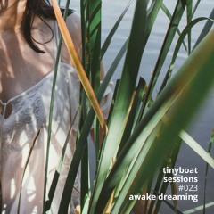 #023: Awake Dreaming - Tiny Boat Sessions by La Barca