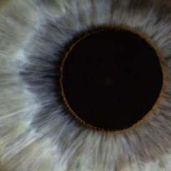 deep inside