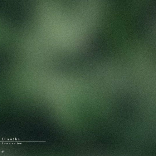 Indefinite Pitch PREMIERES. Dianthe - Preservation [Kvltö]