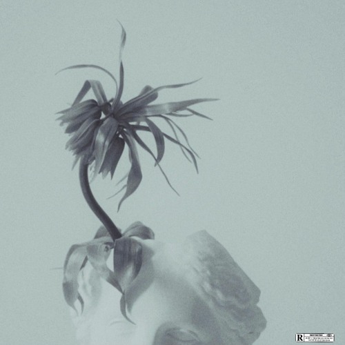 CHAKRA (PROD LACEBOB & WHOSWYLER)