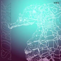 Sobolik - Foil
