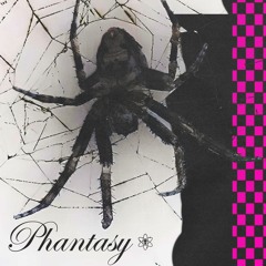 PHASELOCKY - PHANTASY