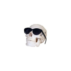 ∘︎°︎∙︎ hit or miss - edit audio ⁑︎♡︎
