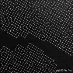 Private Business Podcast 029 - Abu AMA
