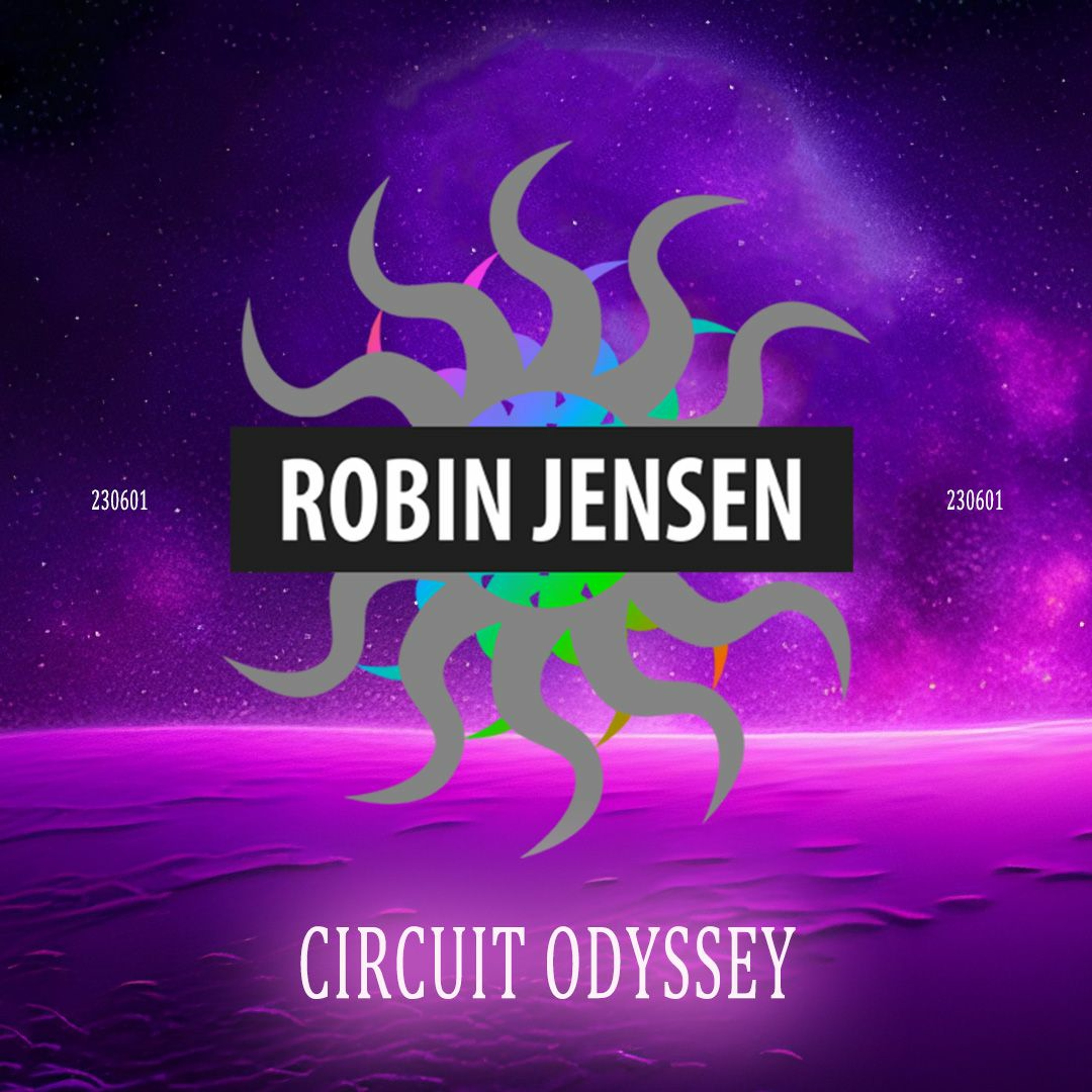 Robin Jensen