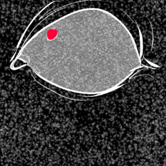 ROADKILL! (part one) [Prod. Dead Yami] [2023 SOUNDCLOUD EXCLUSIVE]