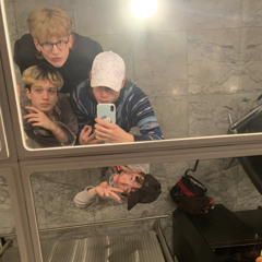 teleportin the zaza+1antibody+Prof. Piet+B0$$ P1mp