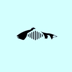 Sadisticfish - Migiwa