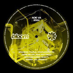 Bloom ADE VA 2024 (Free Download)
