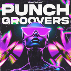 Banger Samples - Punch Groovers
