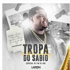 10 MINUTINHOS FIM DE ANO DA TROPA DO SABÍO - (( DJ LAFON DO MD ))