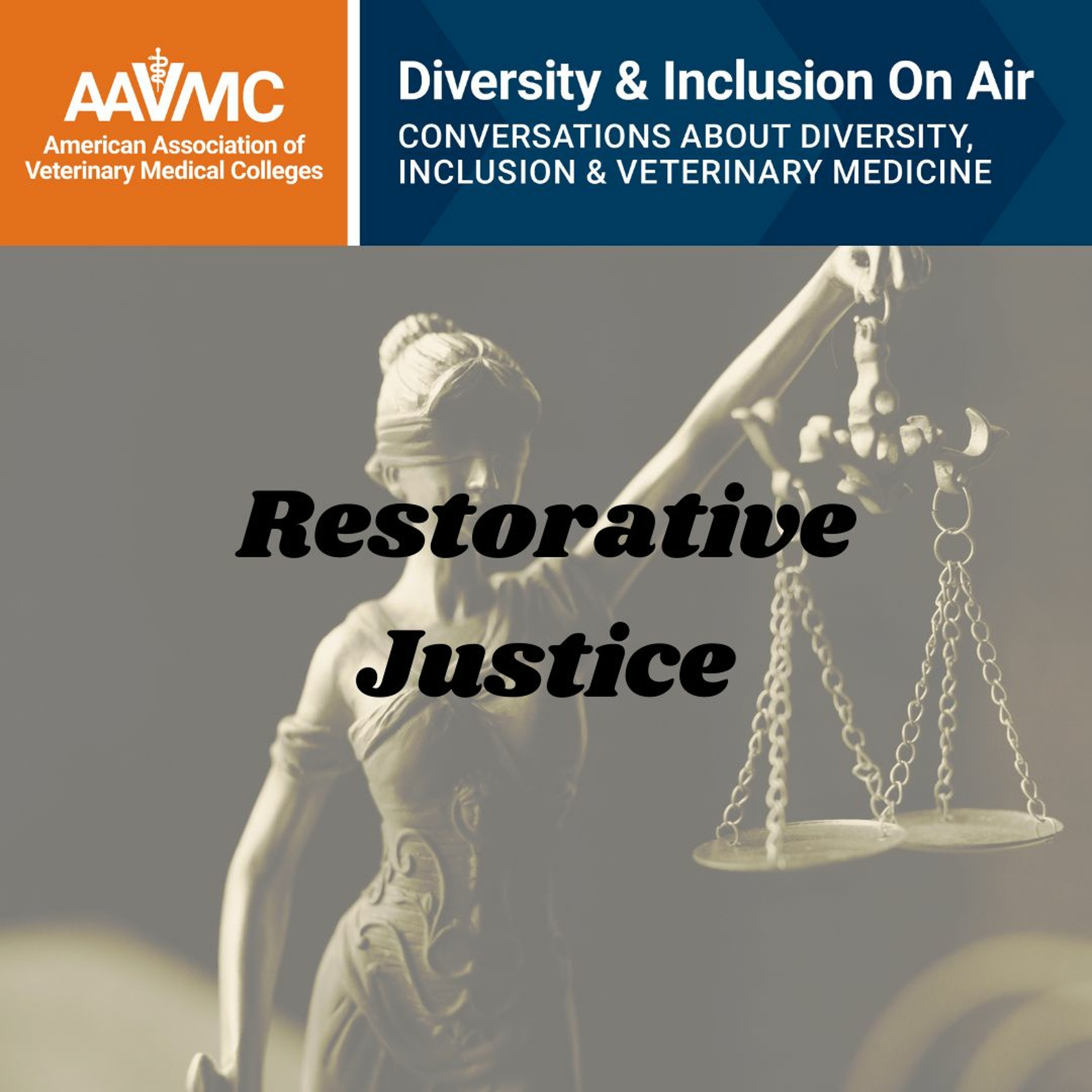 AAVMC\'s On Air: Conversations about Issues in Veterinary Medicine