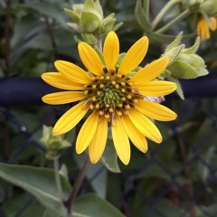 Rich Uncle D - SoBer OctoBer (ft. QueBall G).m4a